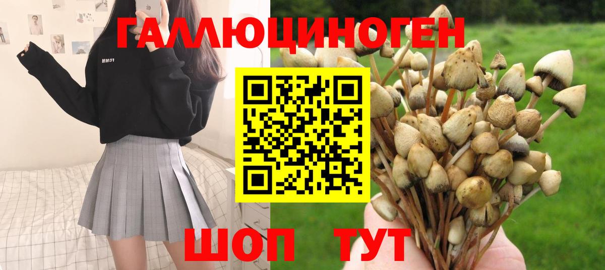 Галлюциногенные грибы прущие грибы  Вход с VPN  Псилоцибиновые грибы мухоморы  Унеча 